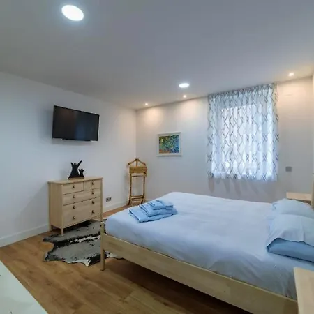 Singular Apartment